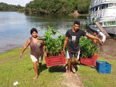 Agroecologia e Reposição Florestal​