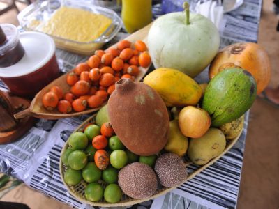 Assunto: travessa de frutas da amazonia com pajura - cupuacu -tucuma - abobora
Local: Santarem - PA
Data: 03/2017
Autor: Chico Ferreira